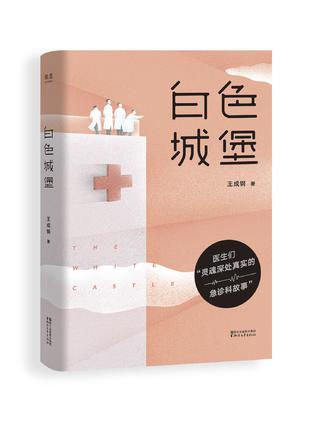 《白色城堡》丨王成钢丨急诊室里的医者仁心与人生百态