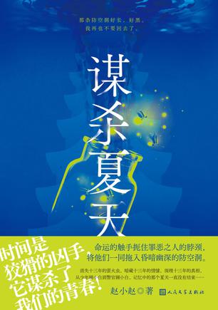 《谋杀夏天》丨赵小赵丨一部关于青春、正义与救赎的悬疑叙事