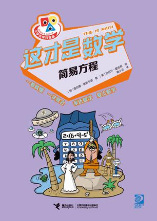 这才是数学:简易方程