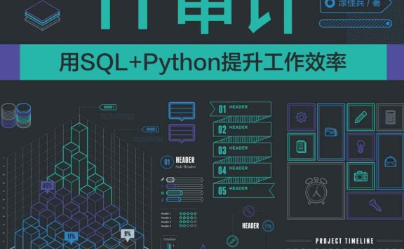 《IT审计:用SQL+Python提升工作效率》丨涂佳兵丨审计师和会计师的效率革命指南